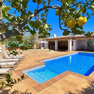 Palmera Sant Jordi de ses Salines